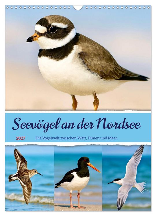 Produktbild: Seev&ouml;gel an der Nordsee (Wandkalender 2027 DIN A3 hoch), CALVENDO Monatskalender