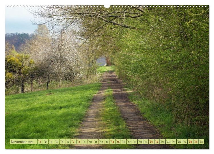 Produktbild: Alles im gr&uuml;nen Bereich (Wandkalender 2026 DIN A2 quer), CALVENDO Monatskalender
