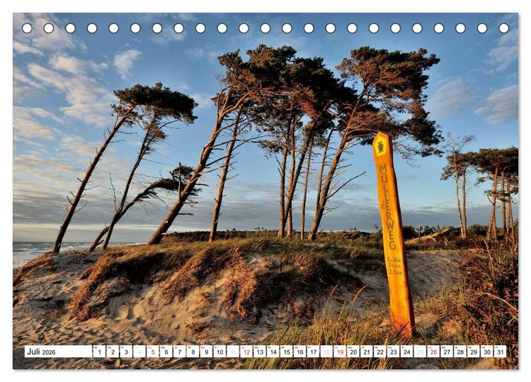 Produktbild: Naturschauspiel Dar&szlig;er Weststrand (Tischkalender 2026 DIN A5 quer), CALVENDO Monatskalender