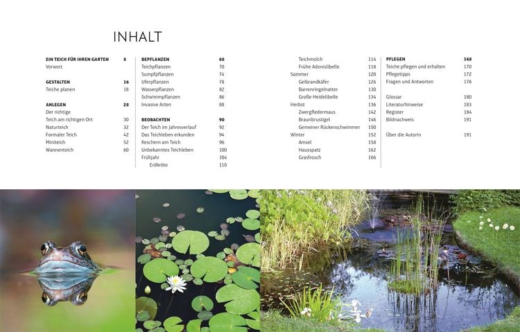 Produktbild: Leben am Gartenteich