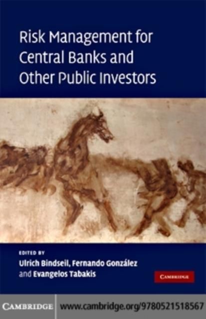 Produktbild: Risk Management for Central Banks and Other Public Investors