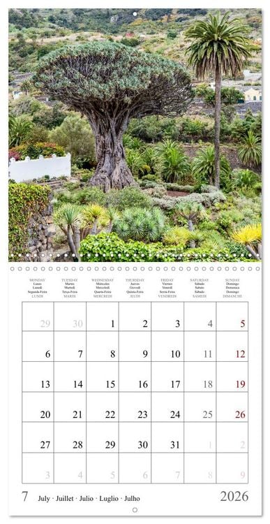 Produktbild: Canary Islands - Volcanic Beauties (Wall Calendar 2026 12 &times; 12 Inch) CALVENDO 12 Month Wall Calendar
