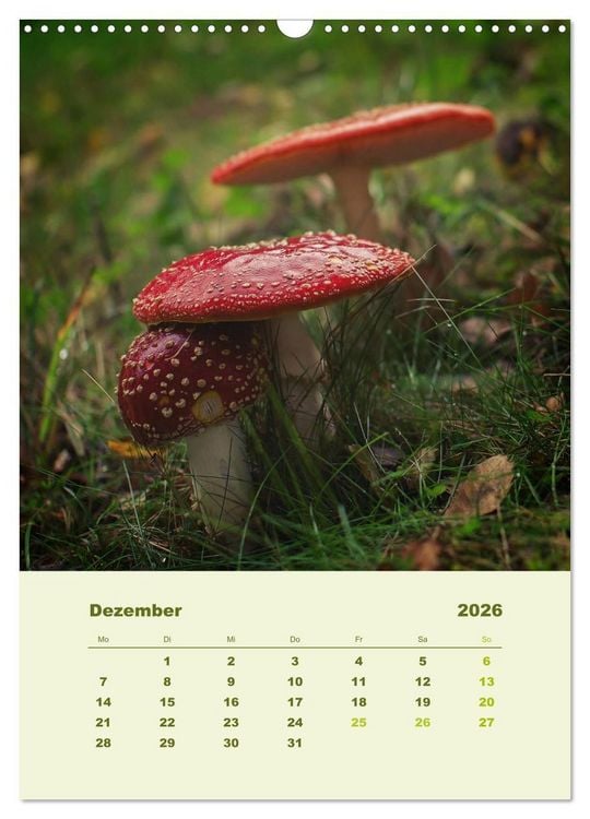 Produktbild: Wundersame Welt der Pilze (Wandkalender 2026 DIN A3 hoch), CALVENDO Monatskalender