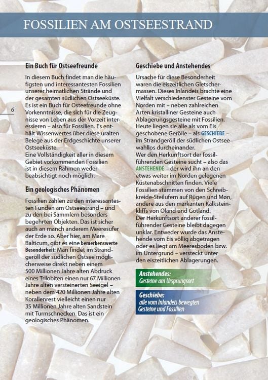 Produktbild: Fossilien am Ostseestrand