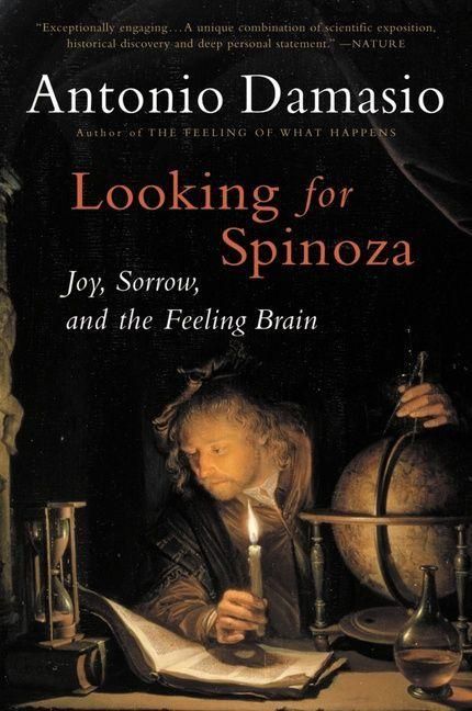 Produktbild: Looking for Spinoza