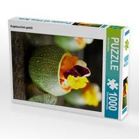 Produktbild: CALVENDO Puzzle Kugelzucchini gef&uuml;llt 1000 Teile Lege-Gr&ouml;&szlig;e 48 x 64 cm Foto-Puzzle Bild von Julia Wankm&uuml;ller
