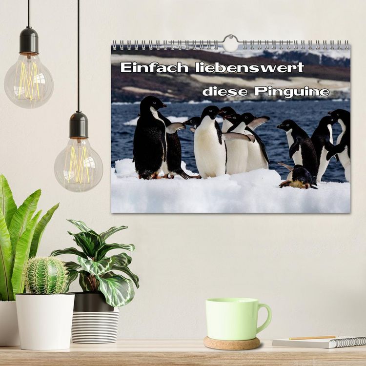 Produktbild: Einfach liebenswert diese Pinguine (Wandkalender 2026 DIN A4 quer), CALVENDO Monatskalender