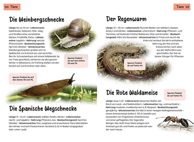 Produktbild: Welche Tierspur ist das? Kindernaturf&uuml;hrer