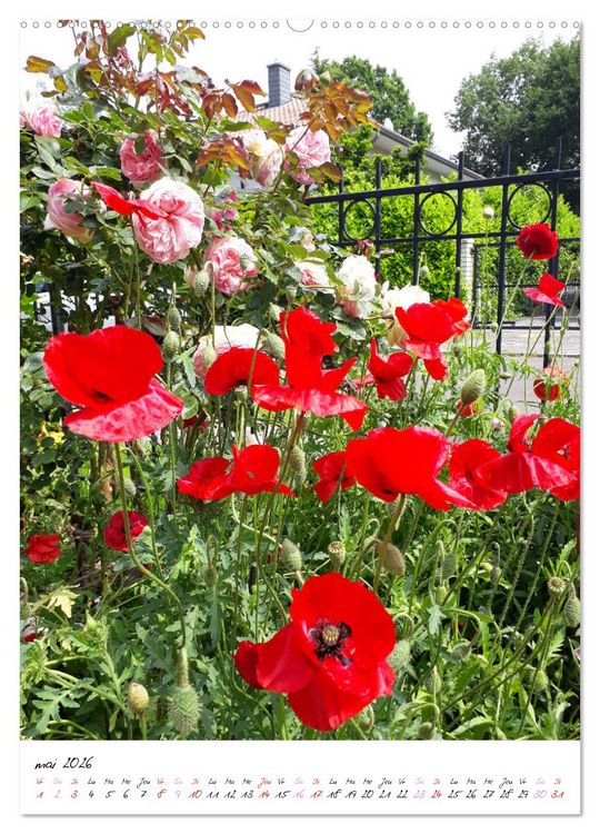 Produktbild: Heureux au jardin (Calendrier mural 2026 DIN A2 horizontal), CALVENDO calendrier mensuel