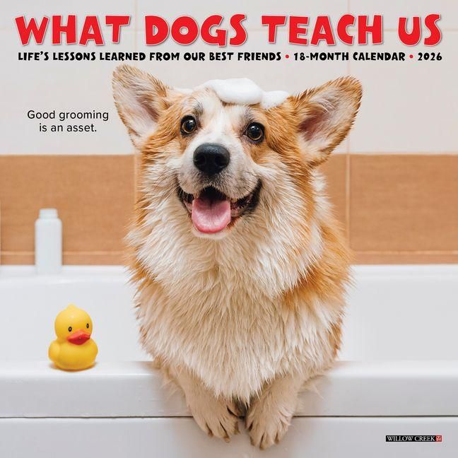 Produktbild: What Dogs Teach Us 2026 Mini Wall Calendar