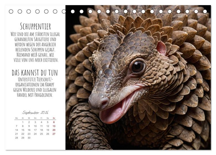 Produktbild: Wir sind die Letzten hier! Wir sterben aus. Wie du uns helfen kannst! (Tischkalender 2026 DIN A5 quer), CALVENDO Monatskalender