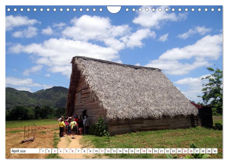 Produktbild: Echte Havannas - Zigarren "Made in Cuba" (Wandkalender 2026 DIN A4 quer), CALVENDO Monatskalender