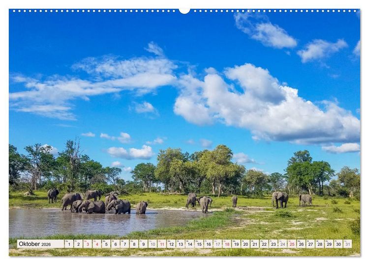 Produktbild: Wildnis Okavango-Delta (hochwertiger Premium Wandkalender 2026 DIN A2 quer), Kunstdruck in Hochglanz