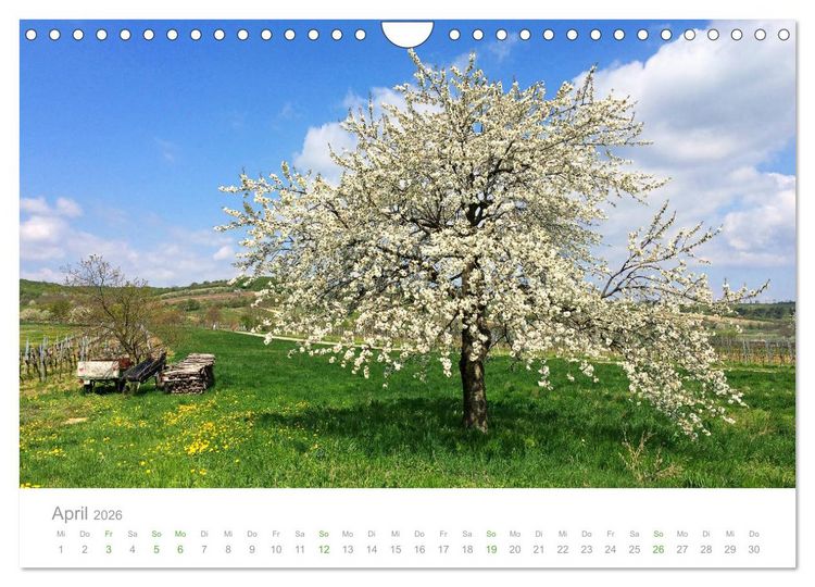 Produktbild: &Ouml;sterreich Rundreise (Wandkalender 2026 DIN A4 quer), CALVENDO Monatskalender