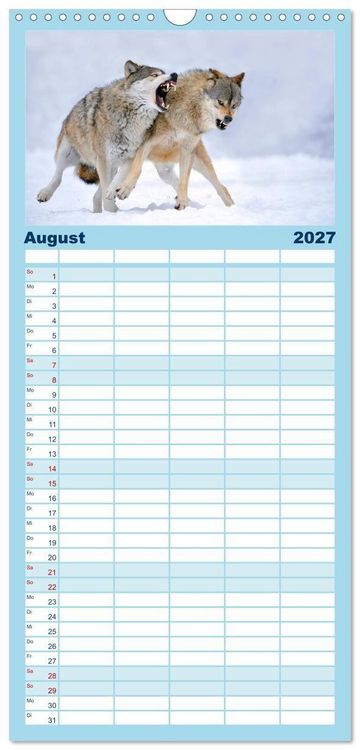 Produktbild: Familienplaner 2027 - Kanadische W&ouml;lfe im Winter mit 5 Spalten (Wandkalender, 21 x 45 cm) CALVENDO