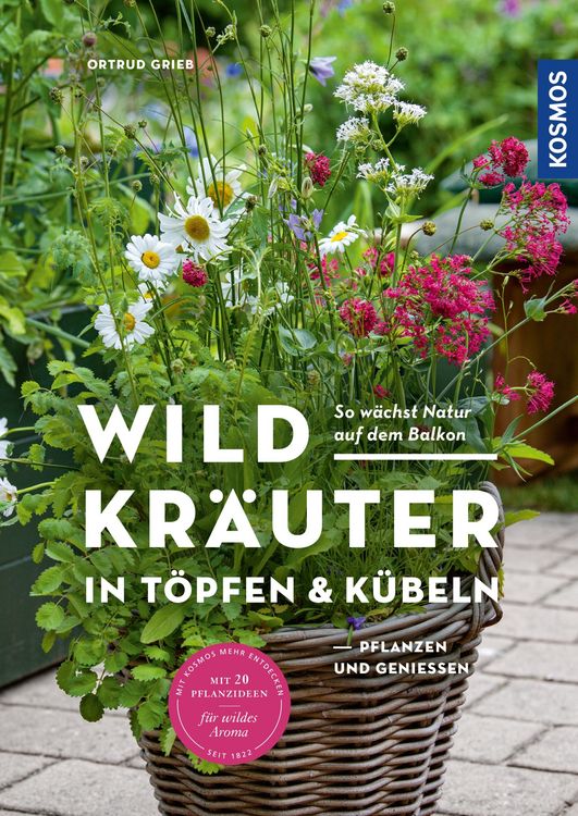 Produktbild: Wildkr&auml;uter in T&ouml;pfen & K&uuml;beln