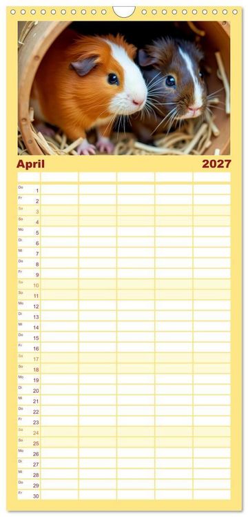 Produktbild: Familienplaner 2027 - S&uuml;&szlig;e Meerschweinchen mit 5 Spalten (Wandkalender, 21 x 45 cm) CALVENDO