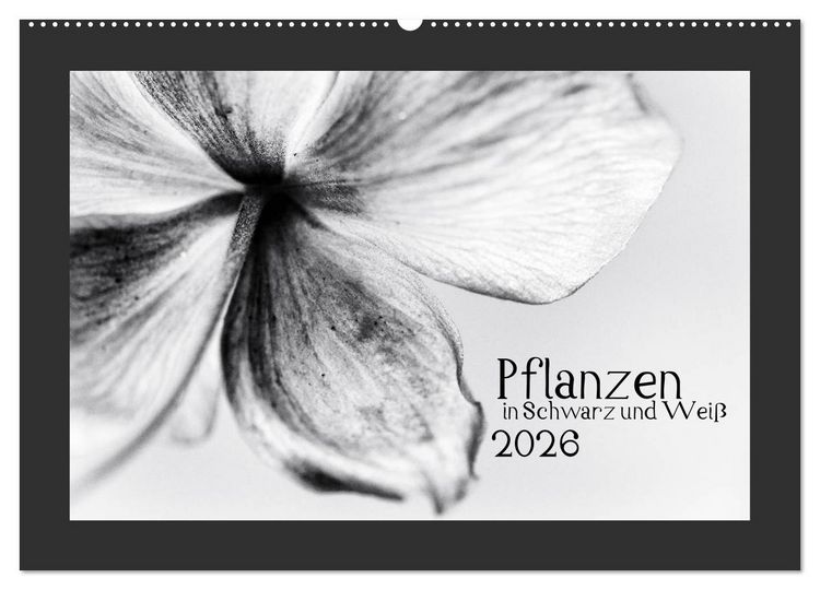 Produktbild: Pflanzen in Schwarz und Wei&szlig; (Wandkalender 2026 DIN A2 quer), CALVENDO Monatskalender
