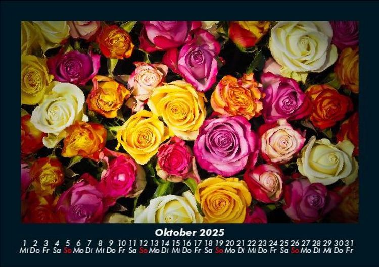Produktbild: Rosen-Kalender 2025 Fotokalender DIN A5