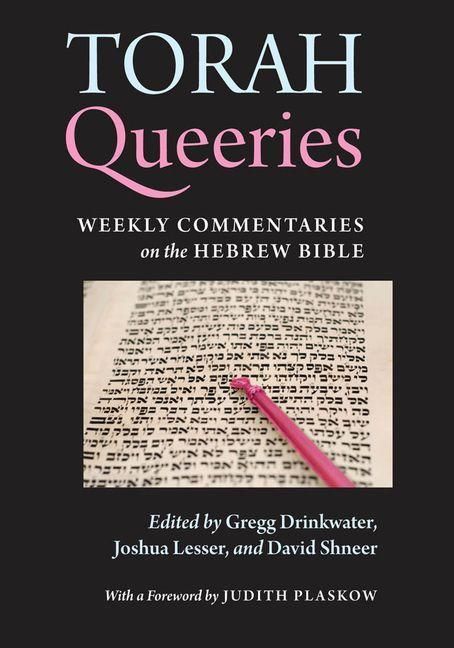 Produktbild: Torah Queeries