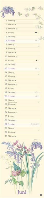 Produktbild: Edith Holden: Mit der Natur durchs Jahr Kalender 2027