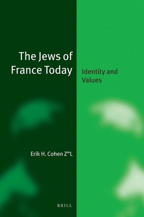 Produktbild: The Jews of France Today (paperback)