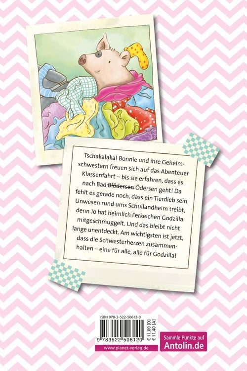Produktbild: Schwesterherzen 2: Auf Klassenfahrt