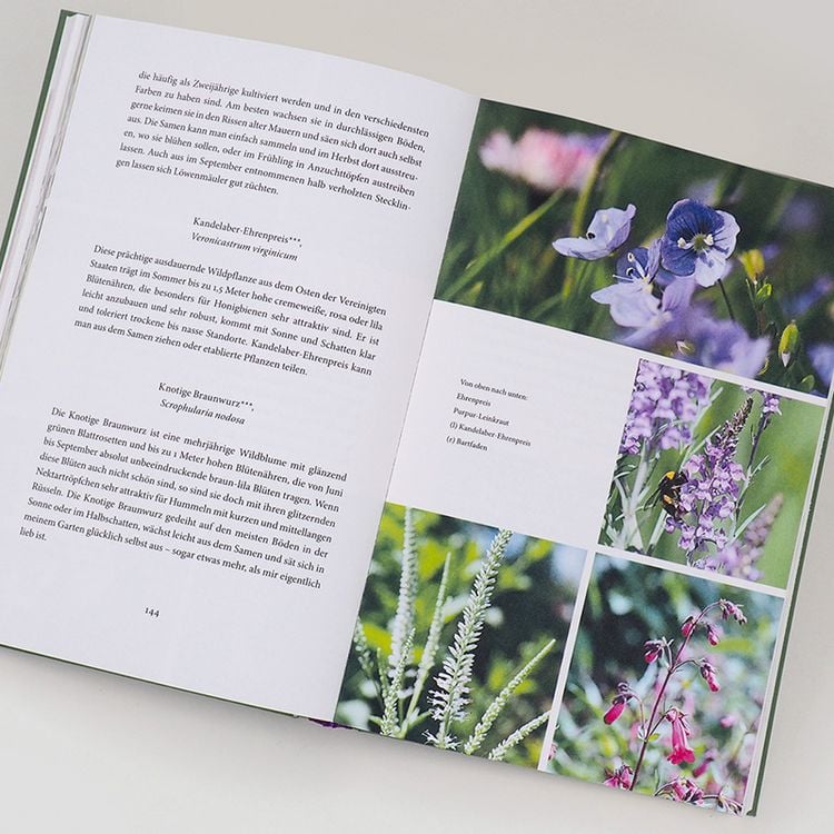 Produktbild: Bienenweide und Hummelparadies