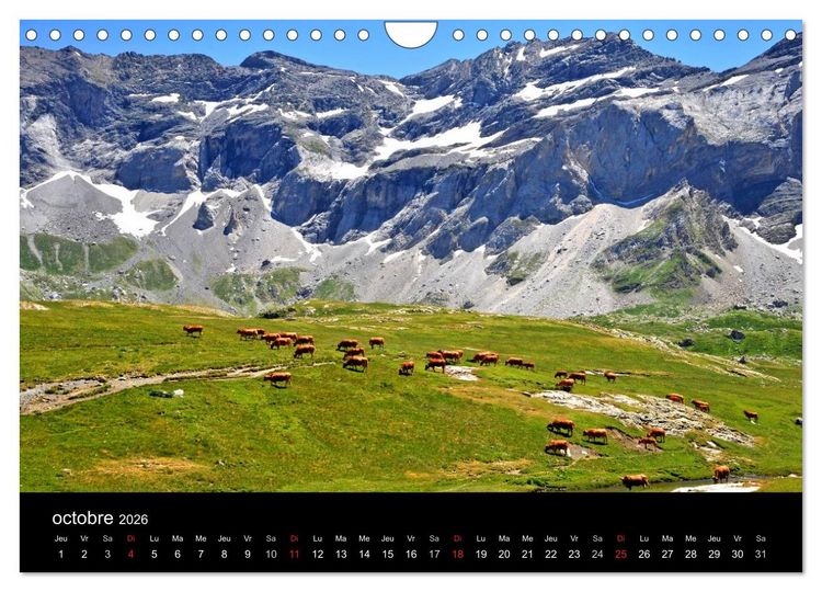 Produktbild: Couleurs Pyr&eacute;n&eacute;es (Calendrier mural 2026 DIN A4 vertical), CALVENDO calendrier mensuel