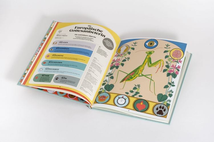 Produktbild: Insekten und ihre Superkr&auml;fte
