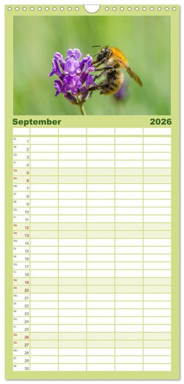 Produktbild: Familienplaner 2026 - Hummeln und Bienen mit 5 Spalten (Wandkalender, 21 x 45 cm) CALVENDO