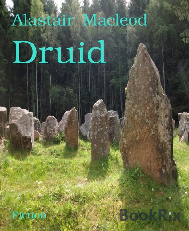 Produktbild: Druid