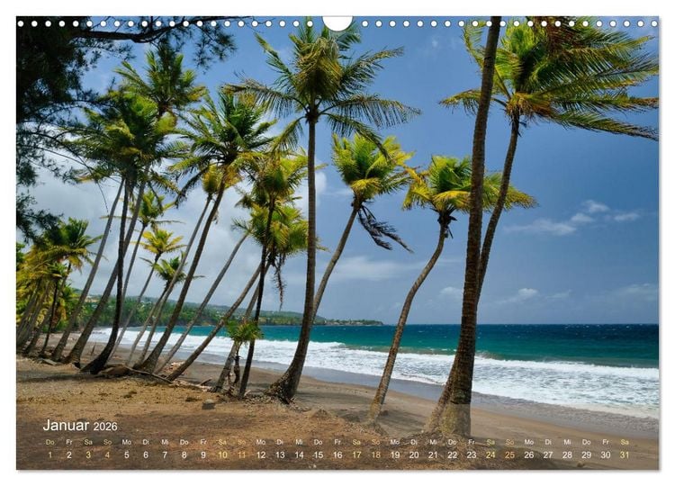 Produktbild: Guadeloupe - Karibische Traumstr&auml;nde (Wandkalender 2026 DIN A3 quer), CALVENDO Monatskalender