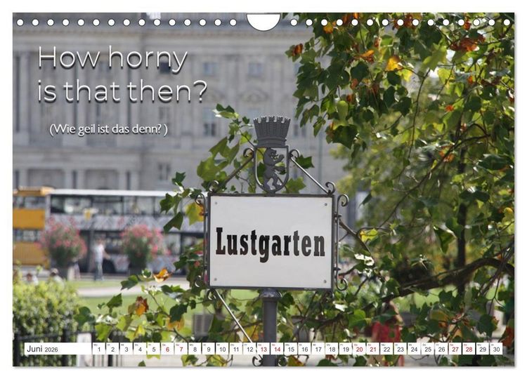 Produktbild: Sag es doch DENGLISCH (Wandkalender 2026 DIN A4 quer), CALVENDO Monatskalender