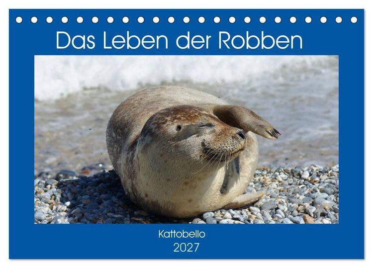 Produktbild: Das Leben der Robben (Tischkalender 2027 DIN A5 quer), CALVENDO Monatskalender