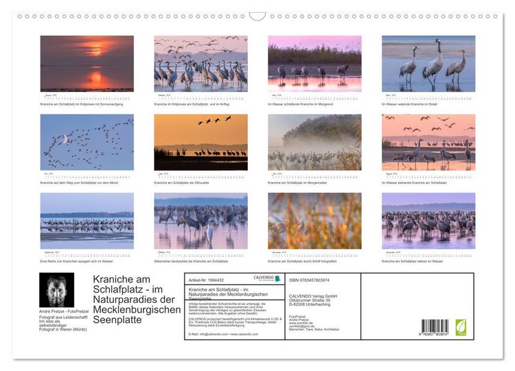 Produktbild: Kraniche am Schlafplatz - im Naturparadies der Mecklenburgischen Seenplatte (Wandkalender 2026 DIN A2 quer), CALVENDO Monatskalender