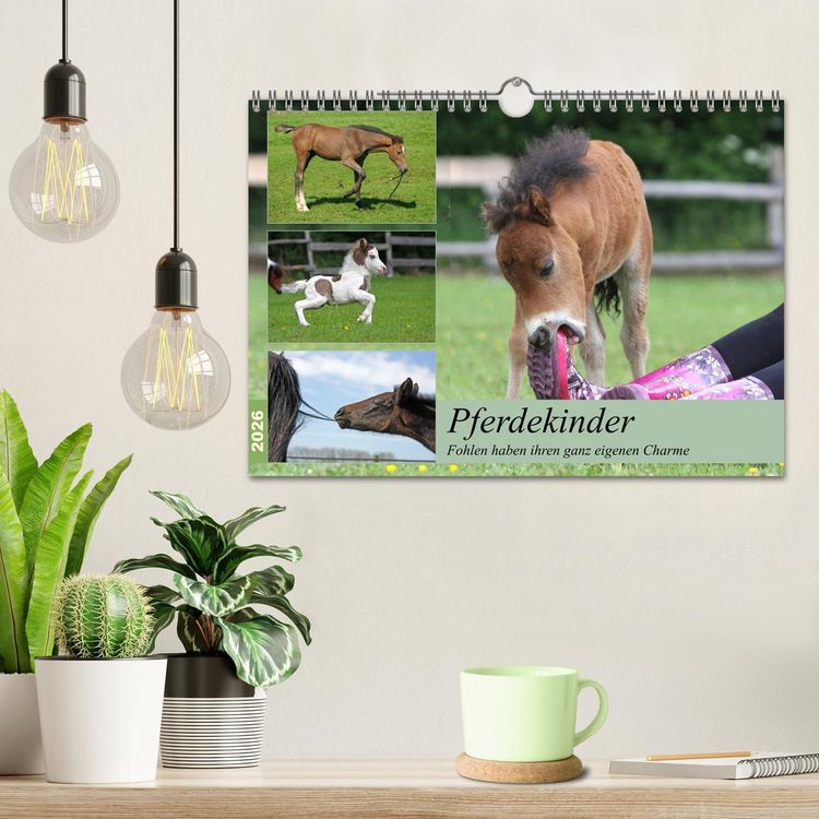 Produktbild: Pferdekinder - Fohlen haben ihren ganz eigenen Charme (Wandkalender 2026 DIN A4 quer), CALVENDO Monatskalender