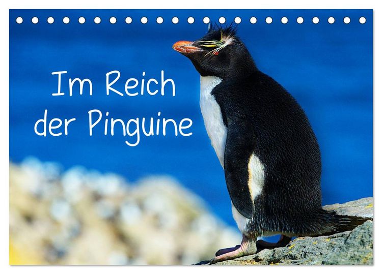 Produktbild: Im Reich der Pinguine (Tischkalender 2026 DIN A5 quer), CALVENDO Monatskalender