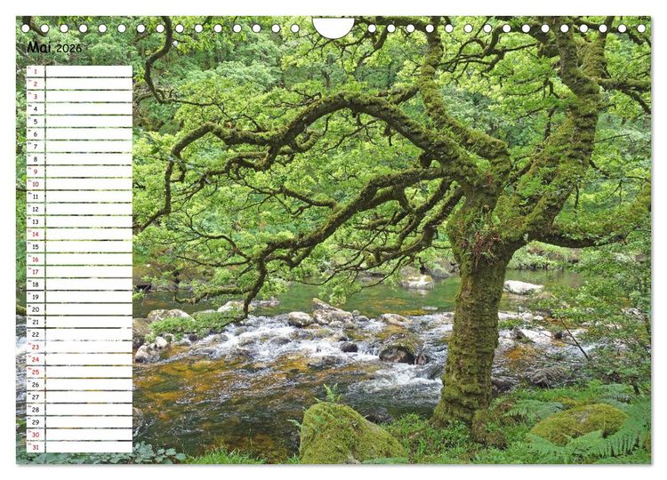 Produktbild: Einsame Natur - Terminkalender (Wandkalender 2026 DIN A4 quer), CALVENDO Monatskalender