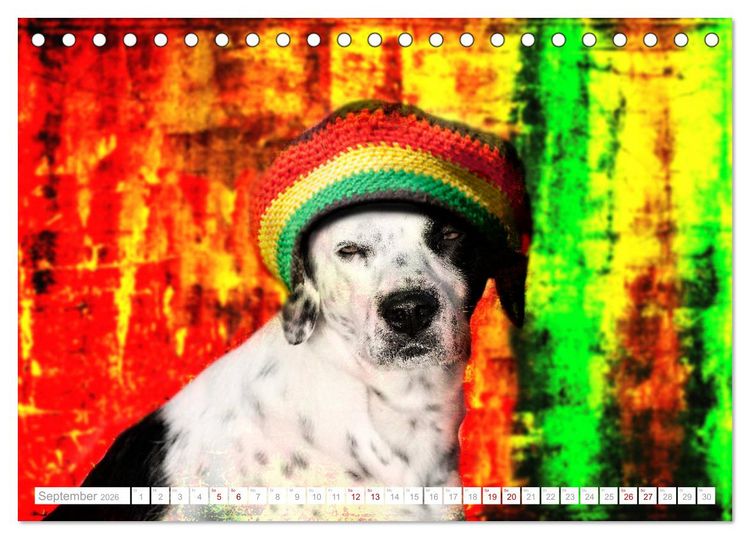 Produktbild: Hund tr&auml;gt Hut (Tischkalender 2026 DIN A5 quer), CALVENDO Monatskalender