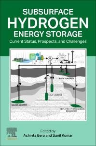 Produktbild: Subsurface Hydrogen Energy Storage