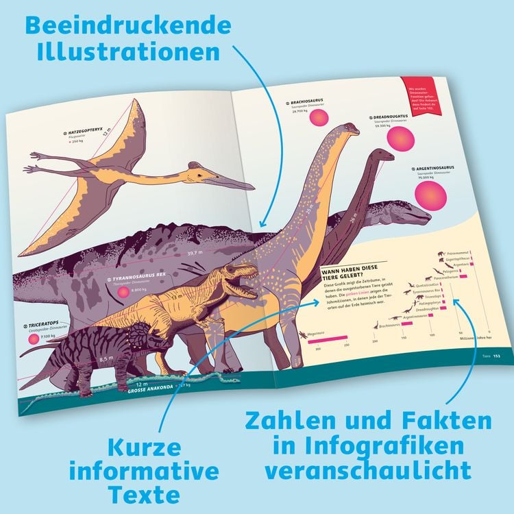 Produktbild: Das große Buch der Infografiken