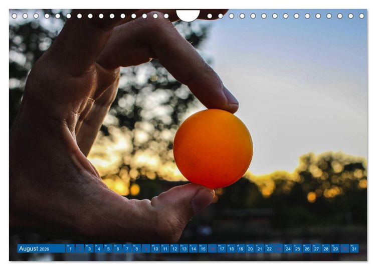 Produktbild: Tischtennis - Der am schnellsten gespielte Sport der Welt (Wandkalender 2026 DIN A4 quer), CALVENDO Monatskalender