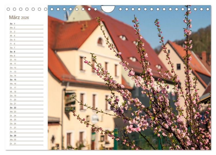 Produktbild: K&ouml;nigstein Perspektiven - Elbsandstein (Wandkalender 2026 DIN A4 quer), CALVENDO Monatskalender