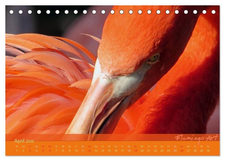 Produktbild: Flamingo Art 2026 (Tischkalender 2026 DIN A5 quer), CALVENDO Monatskalender