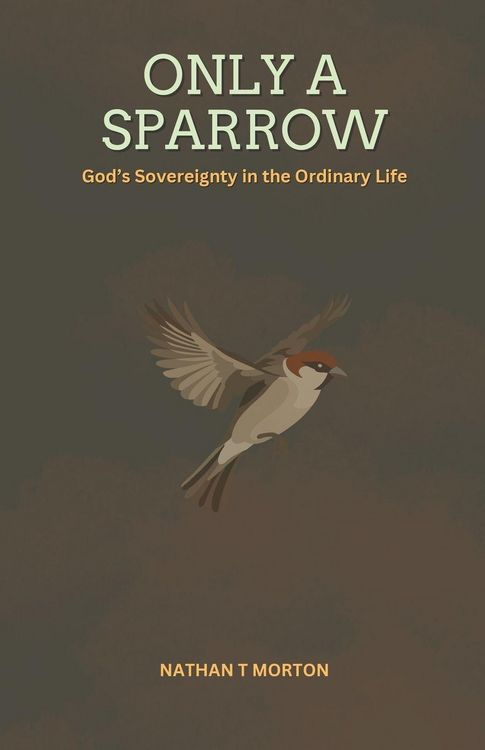 Produktbild: Only A Sparrow
