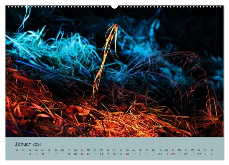Produktbild: Leuchtfarben (Wandkalender 2026 DIN A2 quer), CALVENDO Monatskalender
