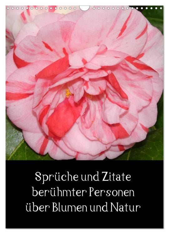 Produktbild: Spr&uuml;che und Zitate ber&uuml;hmter Personen &uuml;ber Blumen und Natur (Wandkalender 2026 DIN A3 hoch), CALVENDO Monatskalender