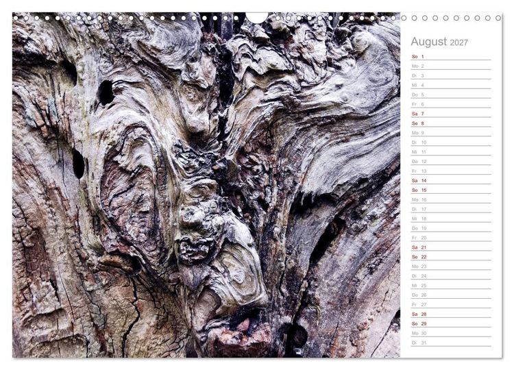 Produktbild: Abstrakte Umwelt (Wandkalender 2027 DIN A3 quer), CALVENDO Monatskalender