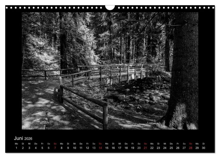 Produktbild: Harz-Bilder in monochrome (Wandkalender 2026 DIN A3 quer), CALVENDO Monatskalender